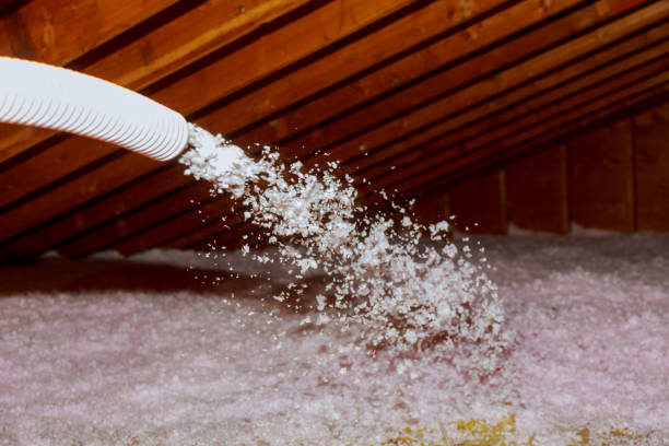 Best Soundproof Insulation Installation  in Farmer City, IL