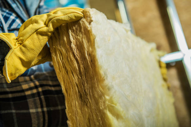 Range of Insulation Solutions in Farmer City, IL