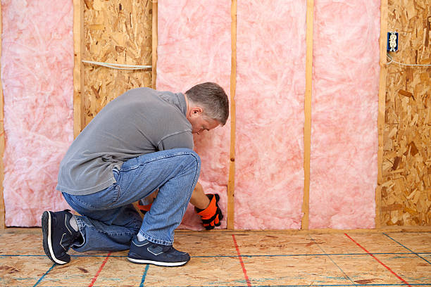 Best Blown-in Insulation  in Farmer City, IL